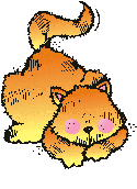 Kitten