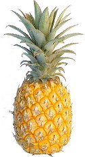pineapple