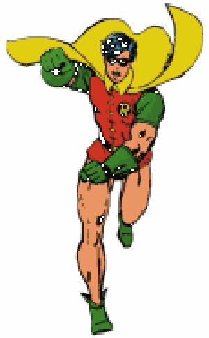 Run Robin Run