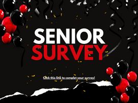  Senior Survey