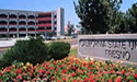 Fresno State