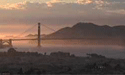 SFSU