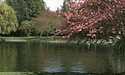 Sanomo State