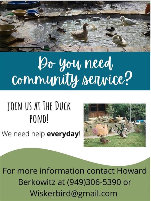 community service duck pond