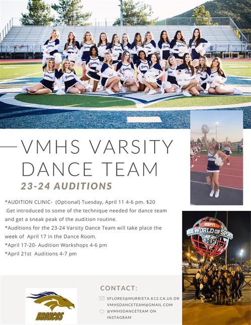 DT AUDITION FLYER