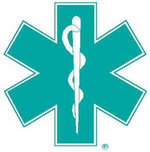 paramed logo 
