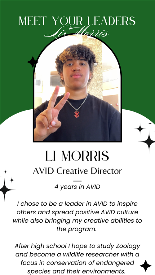AVID Creative Director - Li Morris