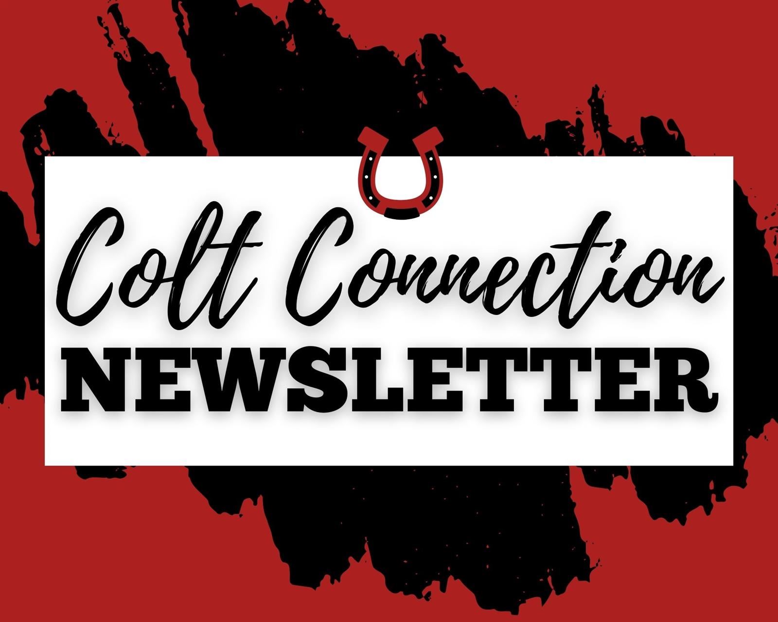  Monthly Newsletter