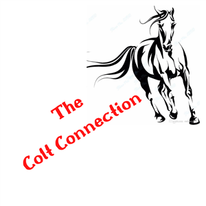 The Colt Connection Newsletter Page 