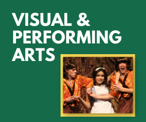 VISUAL & PERFORMING ARTS