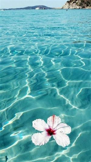 ocean 
