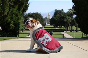 Addie-Redlands Mascot 