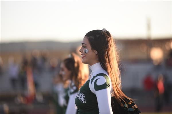Mesa Rams Dance Team