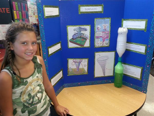 Research Reports